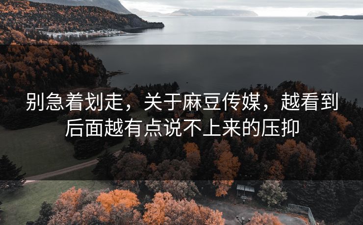 别急着划走，关于麻豆传媒，越看到后面越有点说不上来的压抑