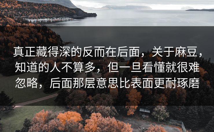 真正藏得深的反而在后面,关于麻豆,知道的人不算多,但一旦看懂就很难忽略,后面那层意思比表面更耐琢磨
