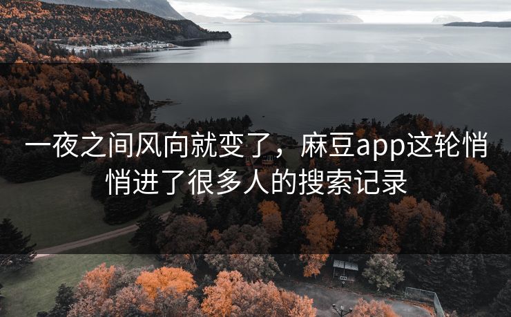 一夜之间风向就变了,麻豆app这轮悄悄进了很多人的搜索记录